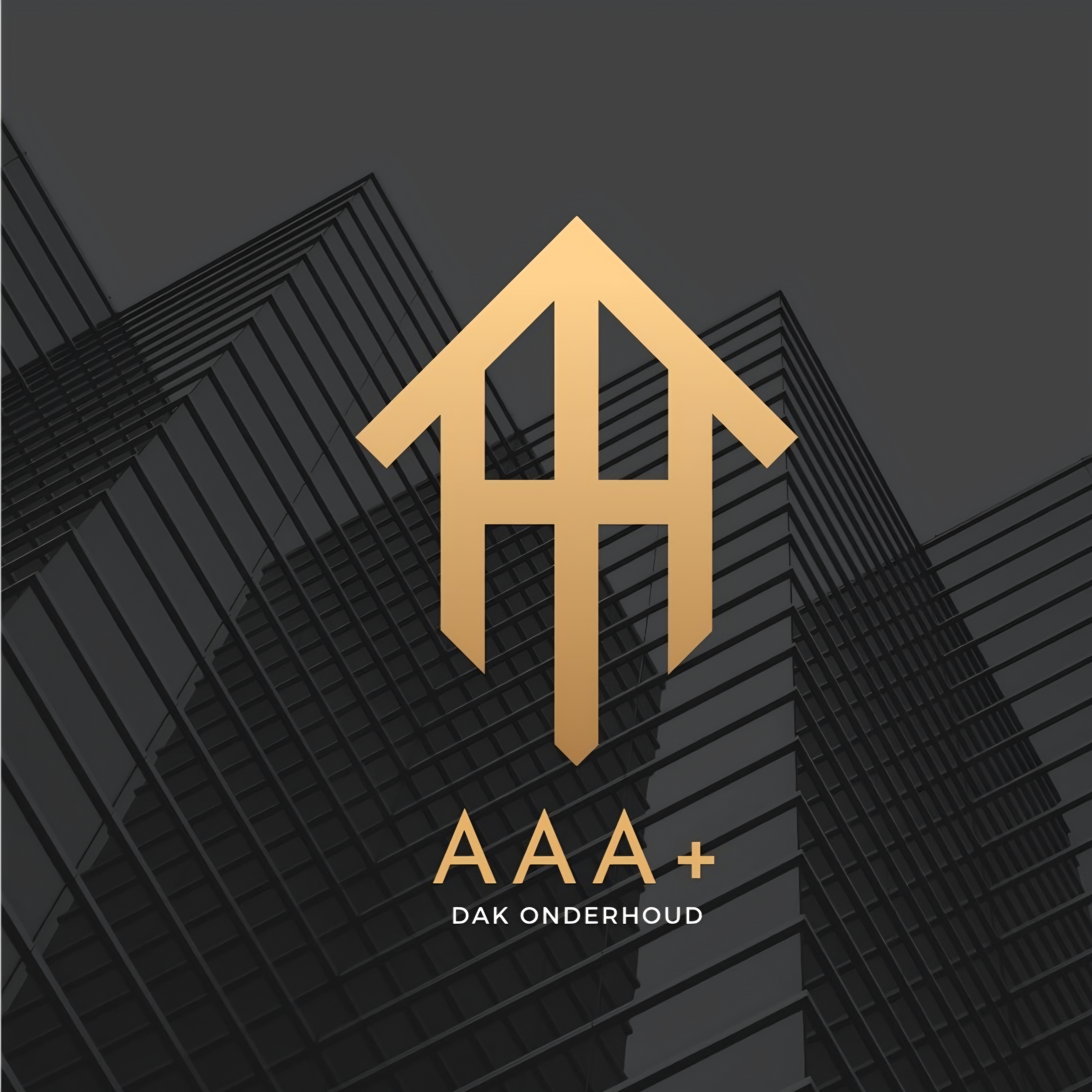 AAA Dak Onderhoud logo